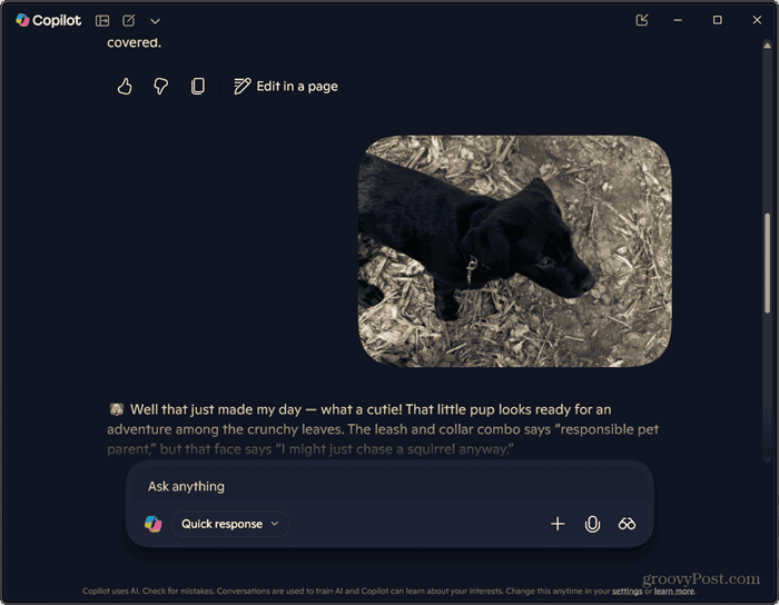 /de/images/8-shows-response-from-Copilot-to-uploaded-image-1.png