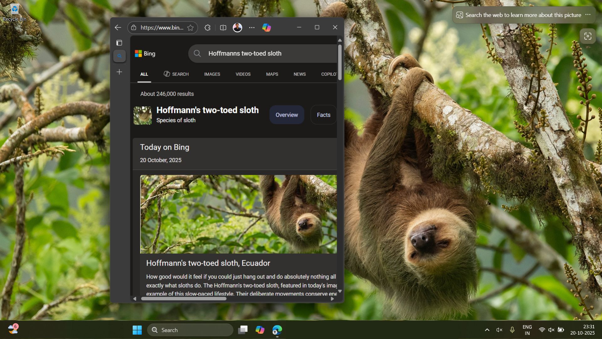 /de/images/Bing-Wallpaper-app-opens-browser-when-clicked-on-the-desktop-background.jpg