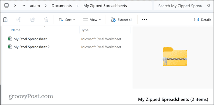 /de/images/Decompressed-files-from-double-clicking-a-ZIP-file-in-Windows-110.png