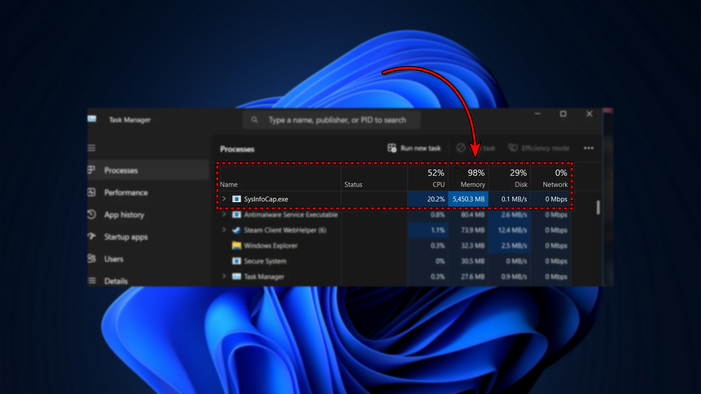 /de/images/SysInfoCap.exe-High-Memory-Usage.jpg