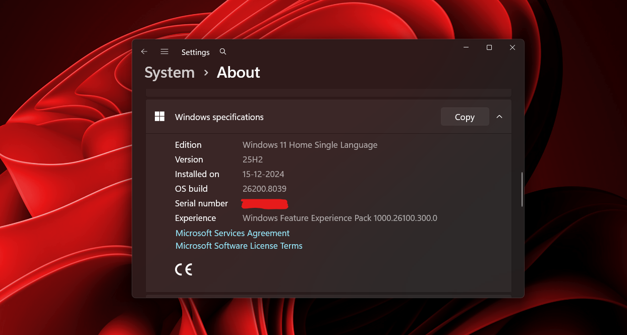 /de/images/Windows-11-25H2.png