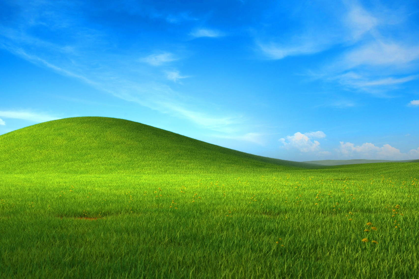 /de/images/Windows-XP.jpg