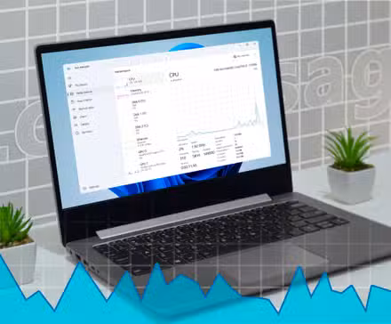 /de/images/a-laptop-with-the-windows-11-task-manager-open-showing-a-graph-indicating-low-resource-usage.jpg