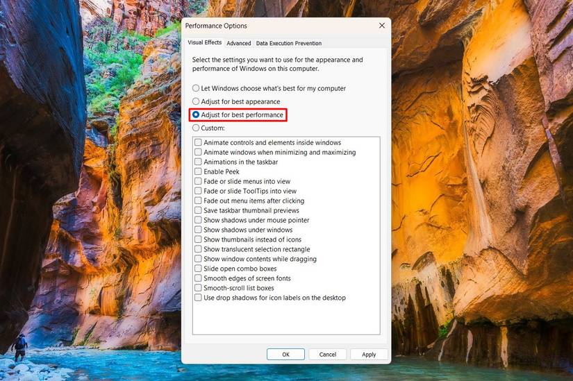 /de/images/adjust-for-best-performance-option-in-performance-options-window.jpg