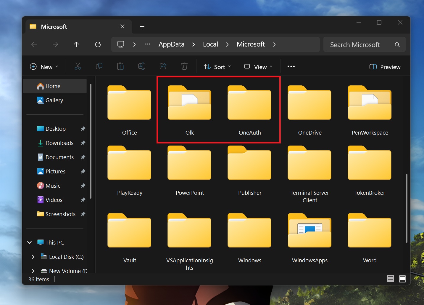 /de/images/delete-olk-and-oneauth-folder-windows-11.jpg