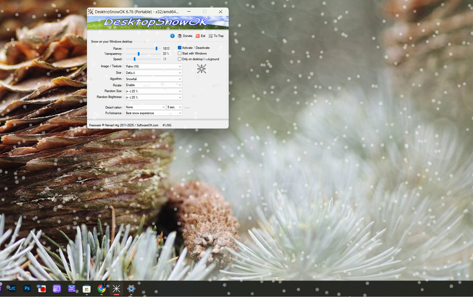 /de/images/desktopsnowok-windows-app.png