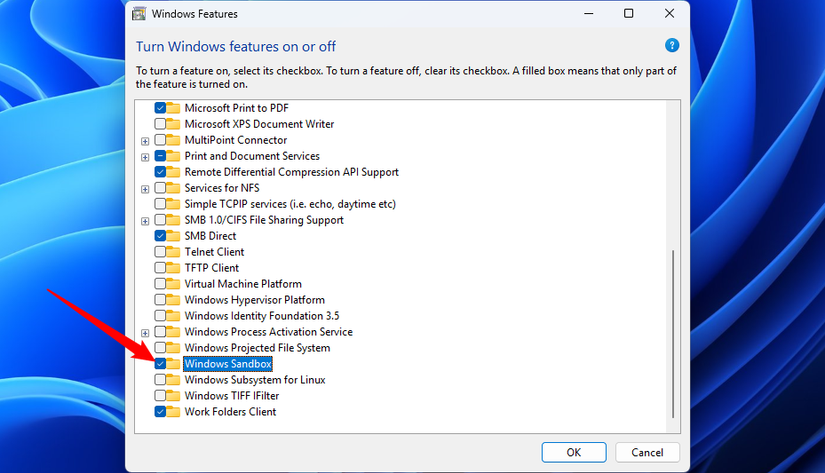 /de/images/enabling-the-windows-sandbox-optional-feature.png