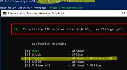 /de/images/join-esu-using-tsforge-in-massgrave.png.webp