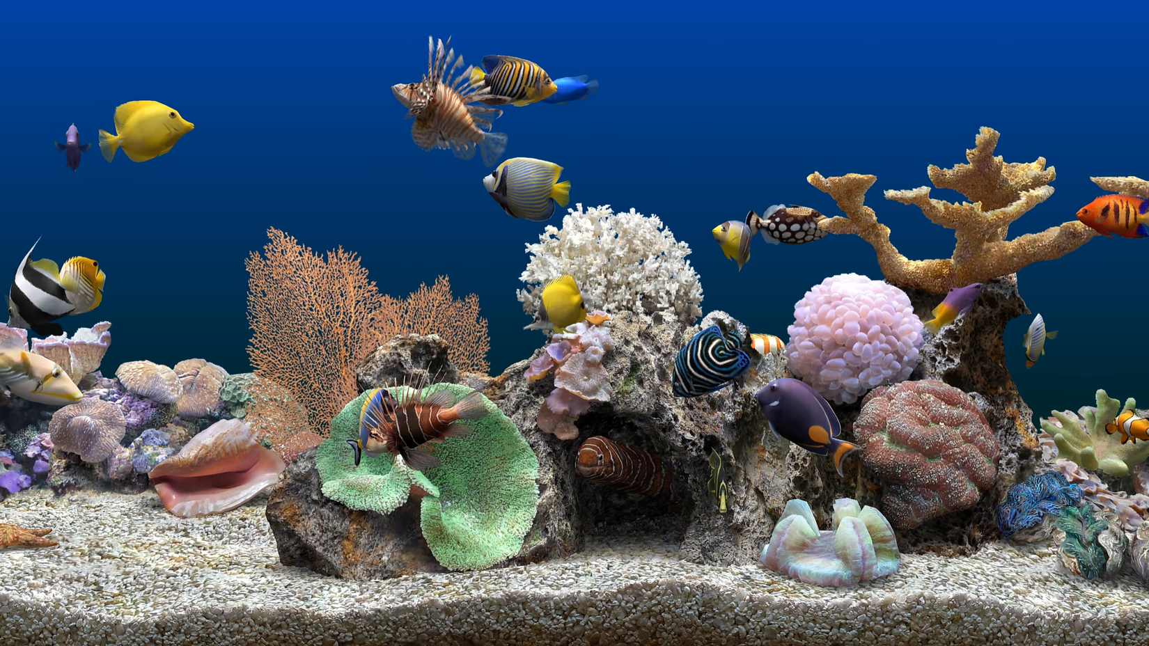 /de/images/marine-aquarium-3-1990s-windows-screensavers.png