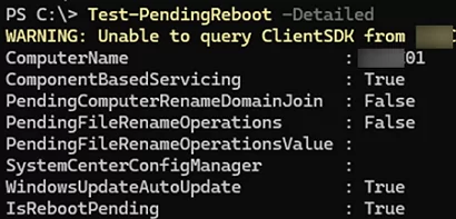 /de/images/test-pendingreboot-detailed-status.png.webp