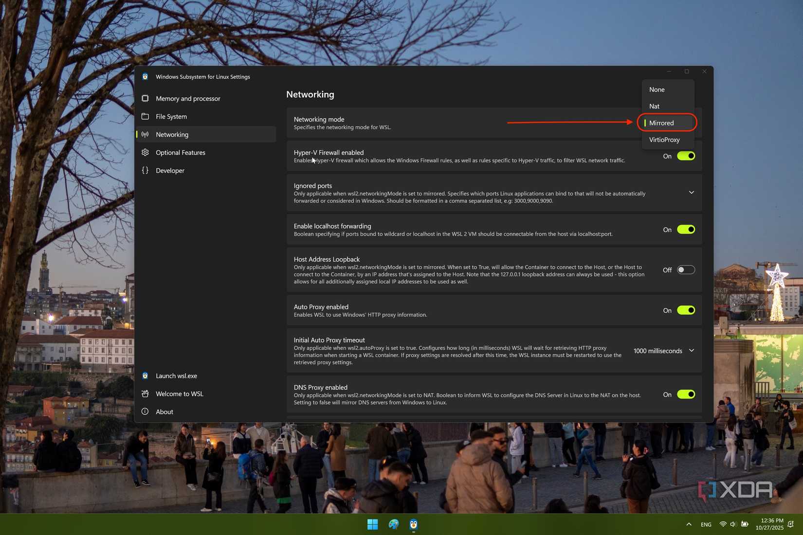 /de/images/wsl-settings-networking.jpg