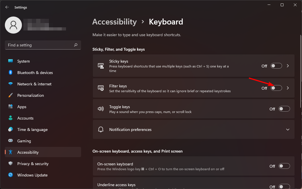 /fr/images/Enable-Filter-keys-settings.png