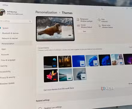 /fr/images/themes-in-windows-11.jpg