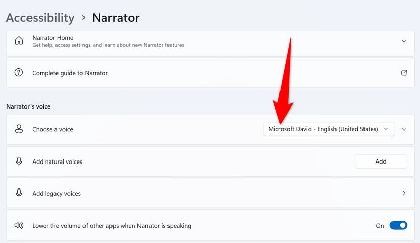 /images/5-windows-11-narrator-change-voice.jpg