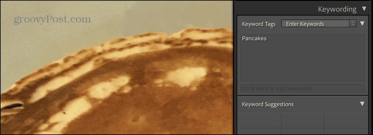 /images/Assigning-a-keyword-to-a-photo-in-Lightroom0.png