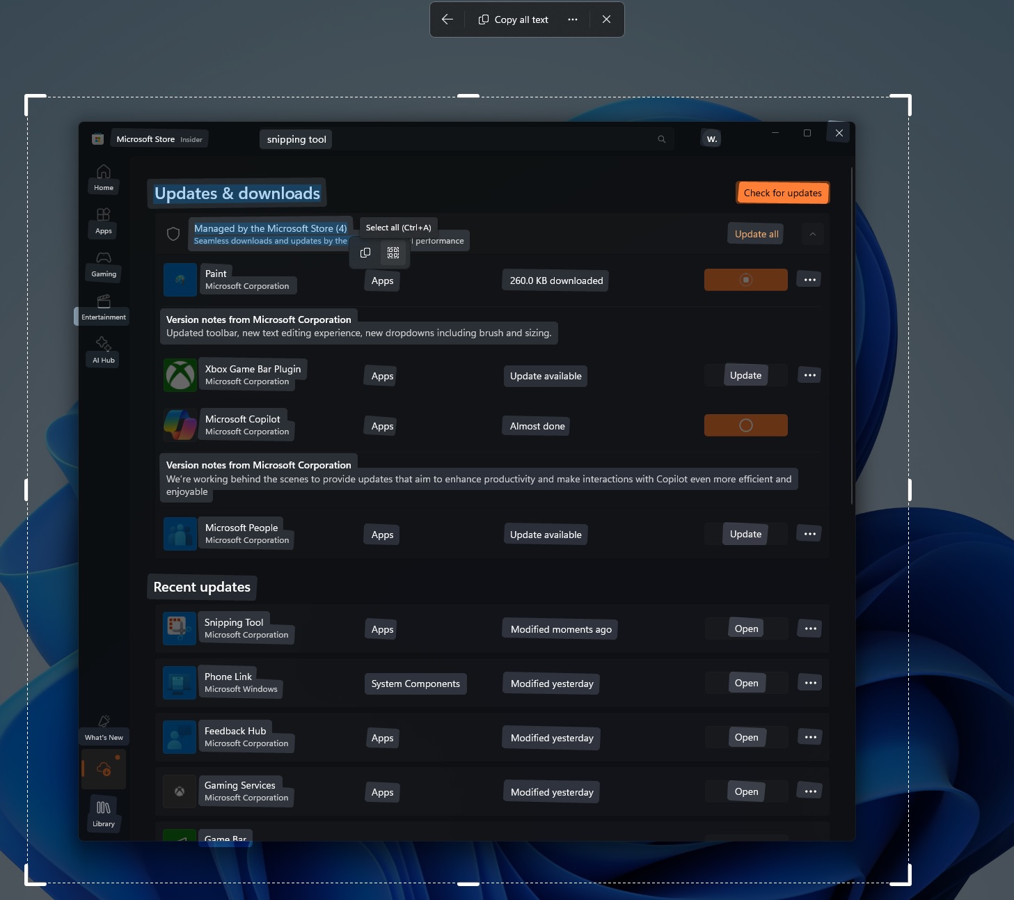 /images/Copy-text-from-Windows-11-screen.jpg