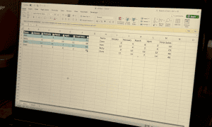 /images/Data-sorted-by-Total-Sales-in-Excel-on-a-MacBook-Air-300x180.png