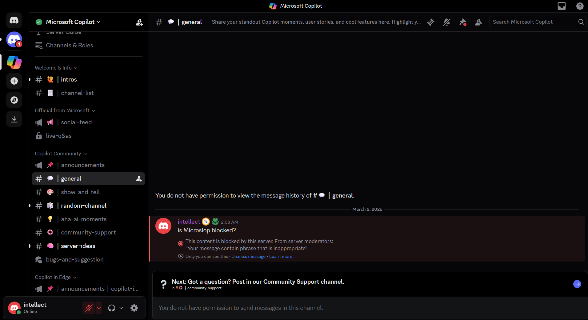 /images/Microsoft-Copilot-Discord-server-locked-after-users-raided-it-with-nicknames.png