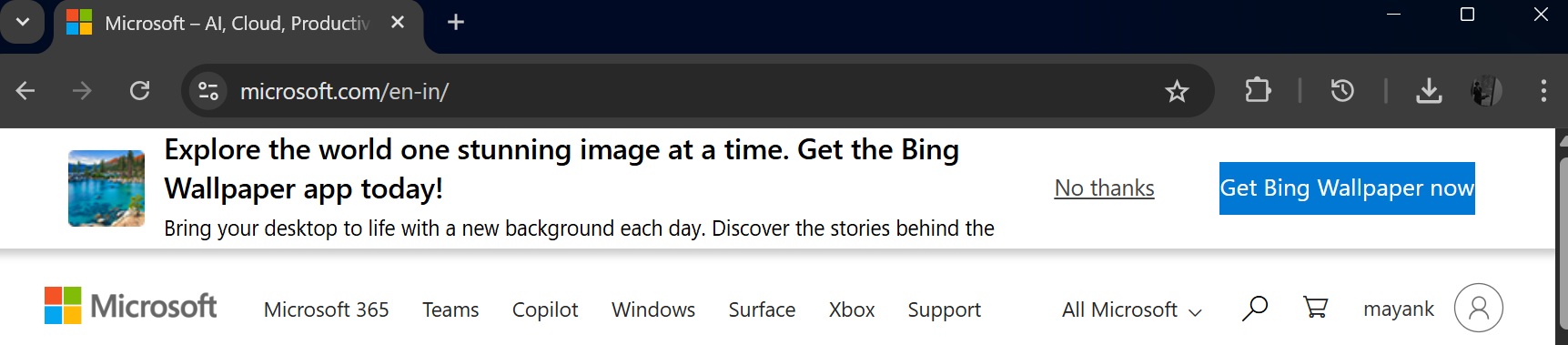 /images/Microsoft-advertises-Bing-on-its-website.jpg