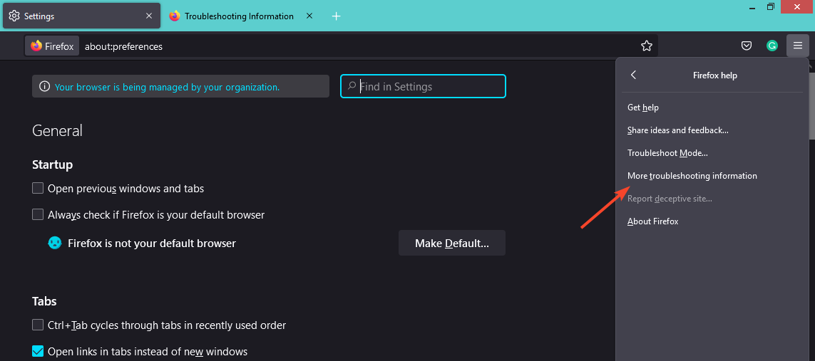 /images/More-troubleshooting-information-firefox.png
