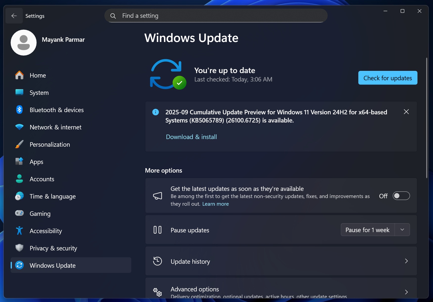 /images/Old-optional-Windows-Update-titles.jpg