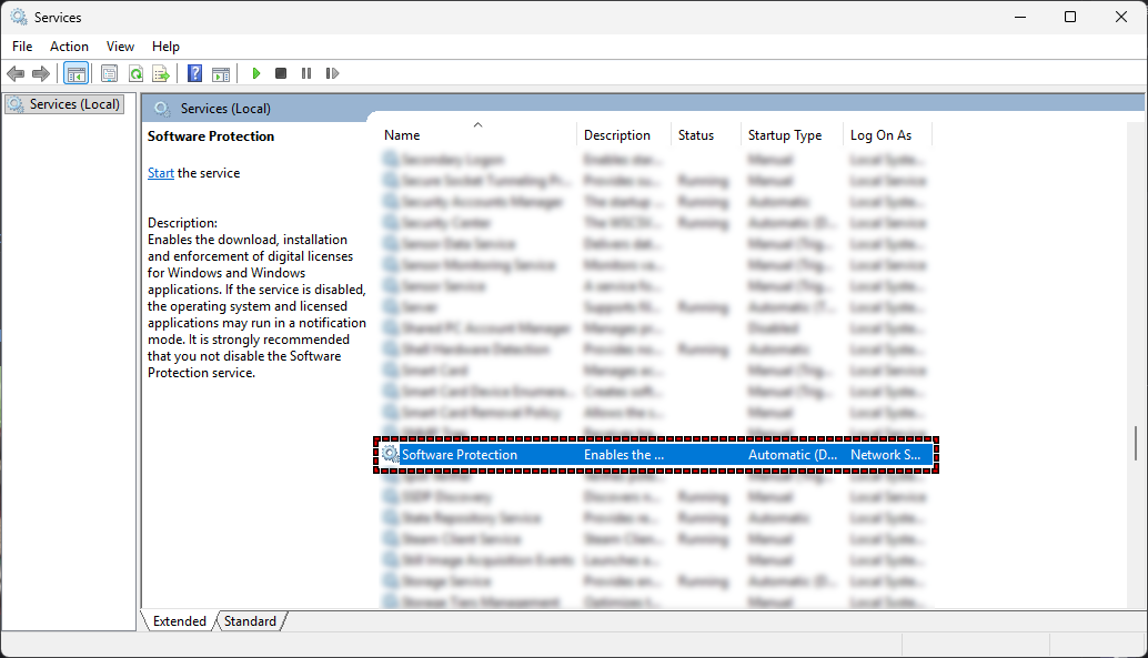 /images/Start-Software-Protection-Service.png