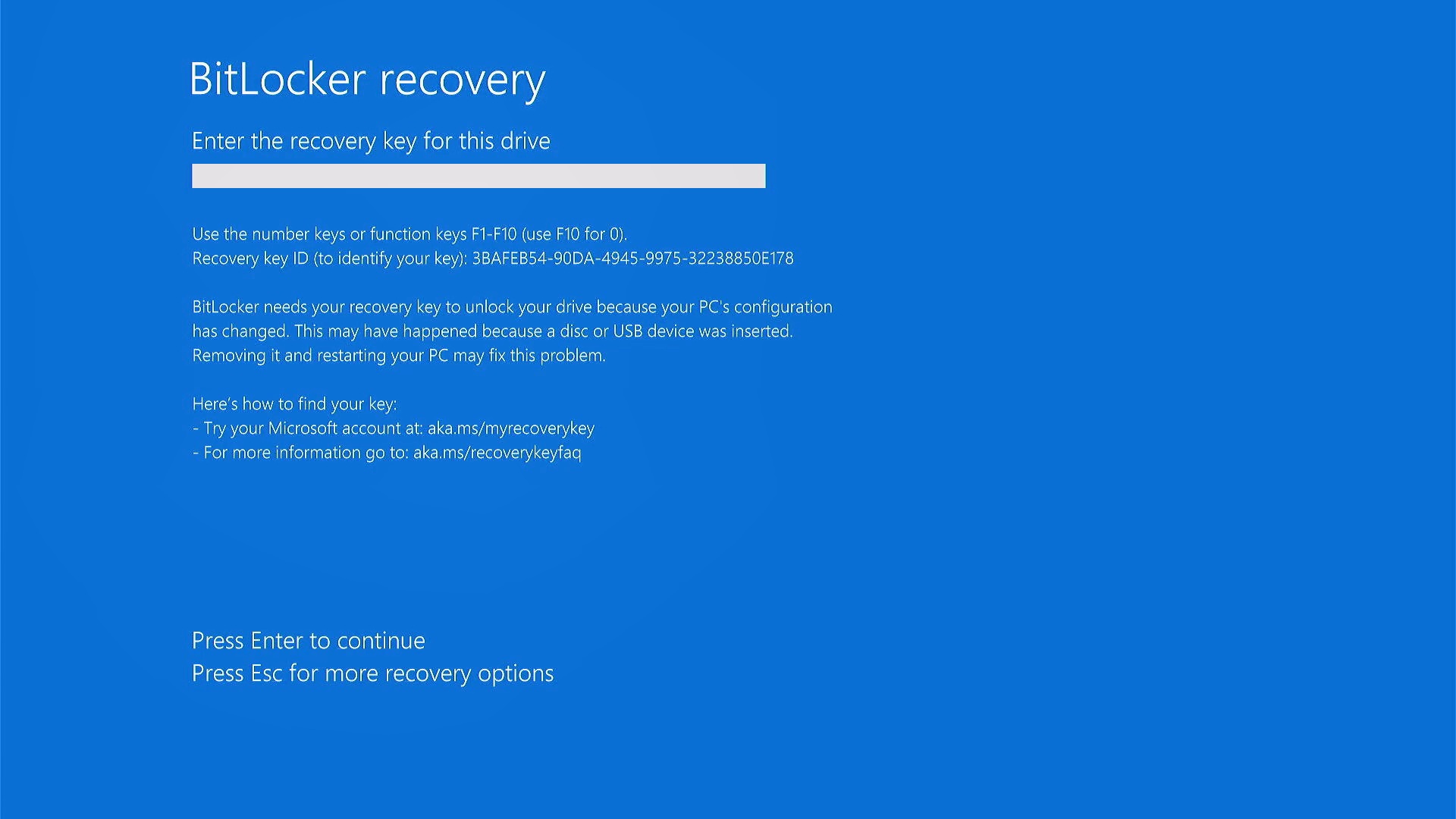 /images/Windows-11-BitLocker-Recovery-Screen.jpg
