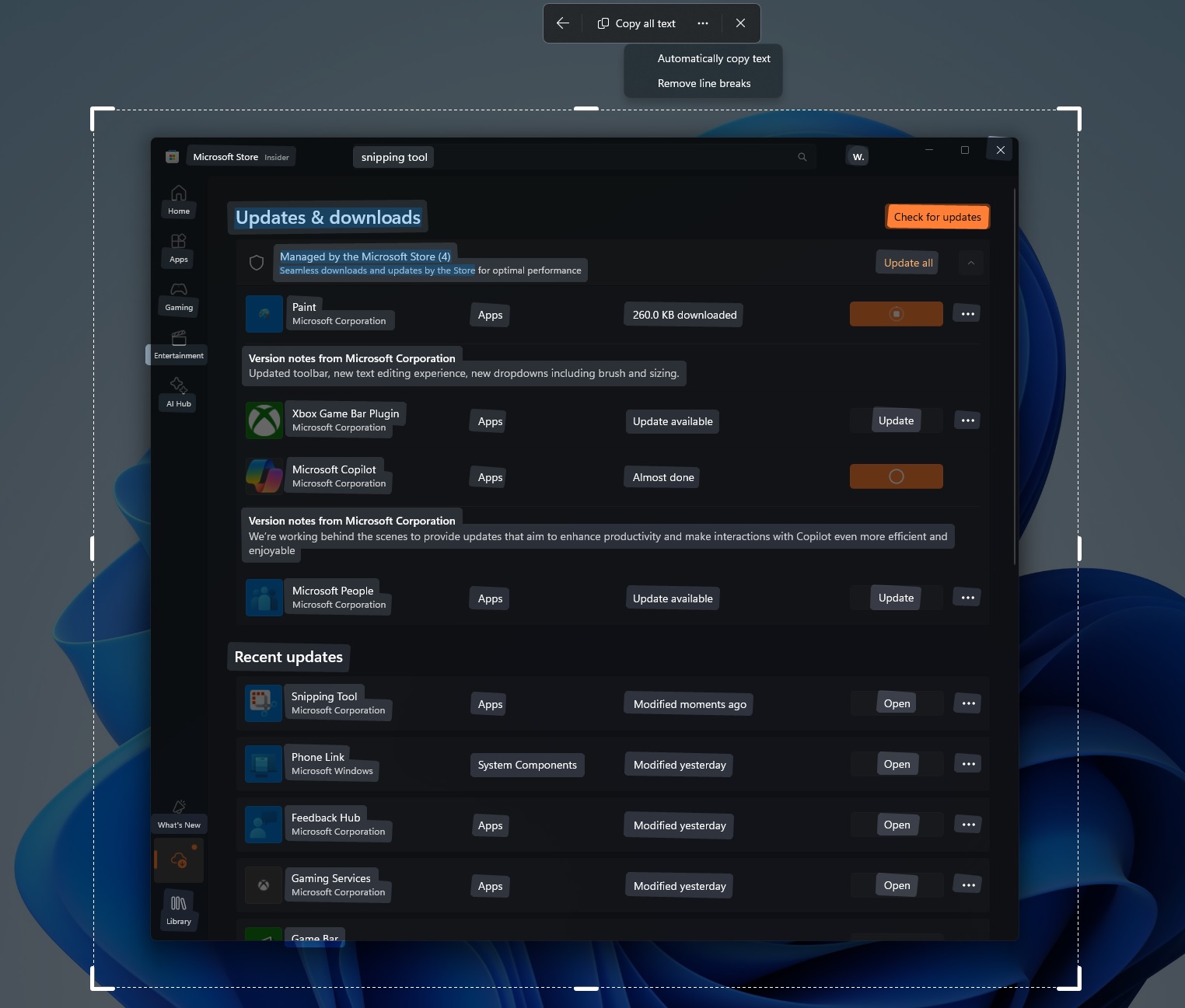/images/Windows-11-auto-copy-texts.jpg
