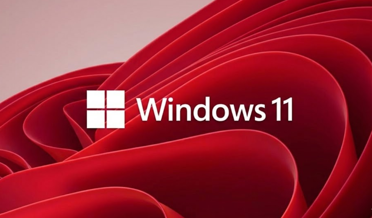 /images/Windows-11-bug-2.png