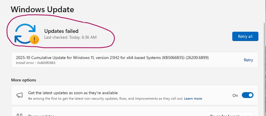/images/Windows-11-error-0x800f0983.jpg