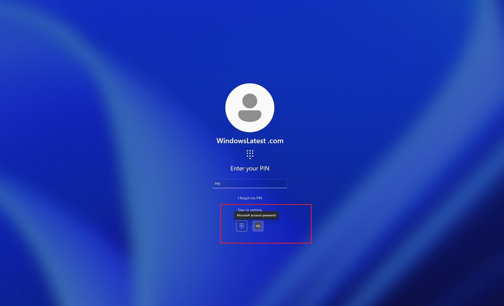 /images/Windows-11-login-screen-password-issue.jpg