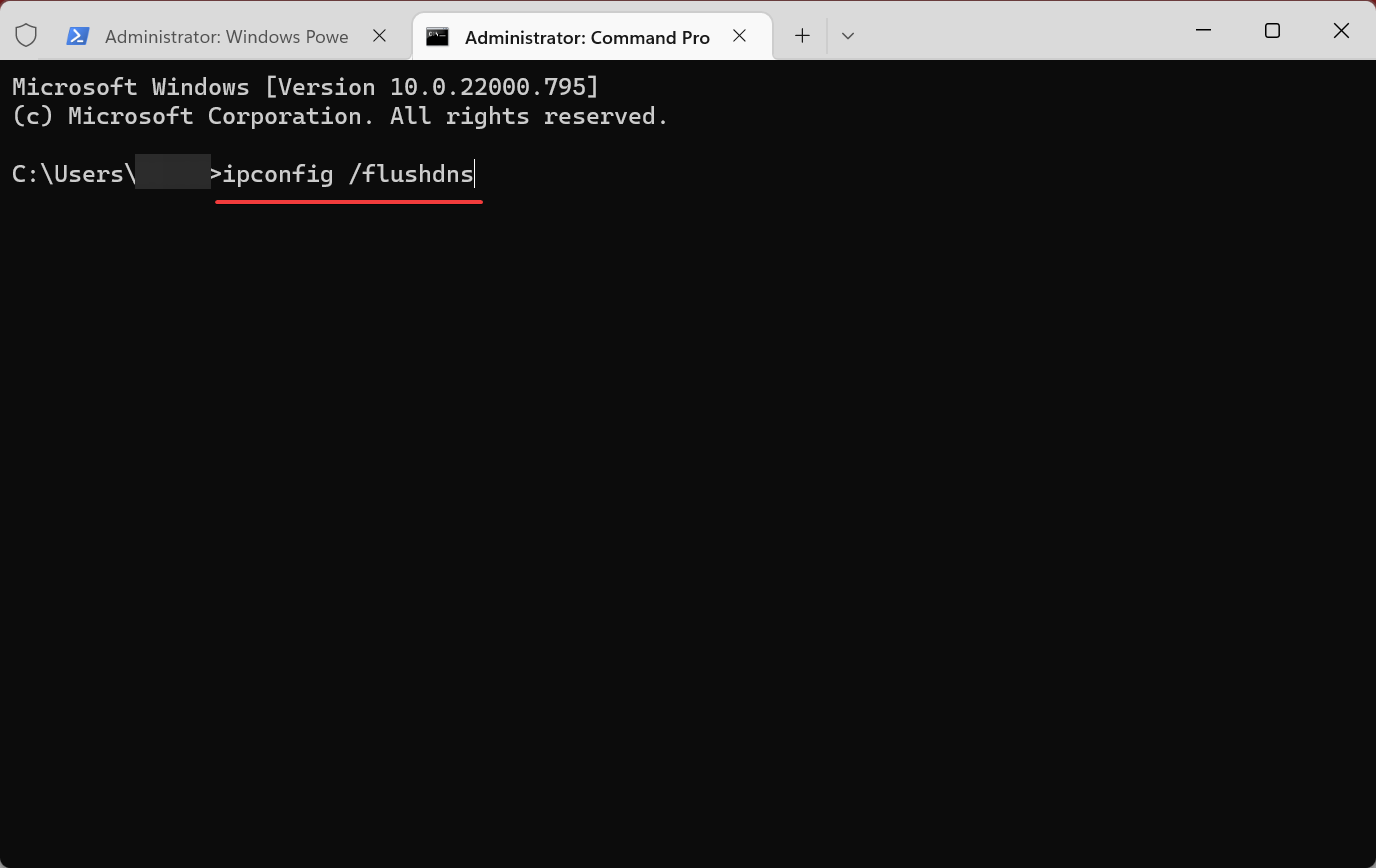 /images/WindowsTerminal_mg4dkCkRK9.png