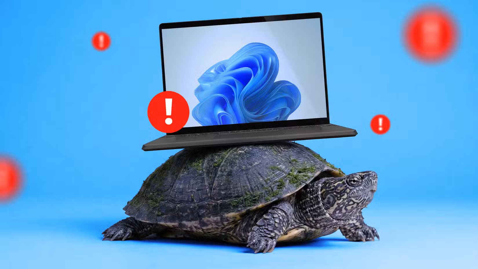 /images/a-laptop-running-windows-11-resting-on-a-turtle-s-shell-surrounded-by-warning-signs.png