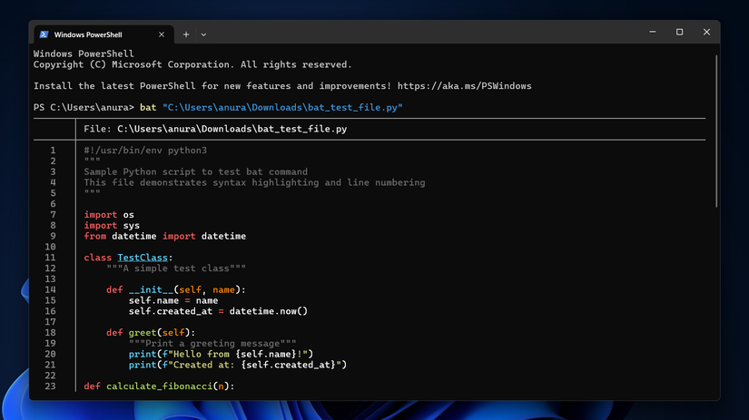 /images/bat-windows.png