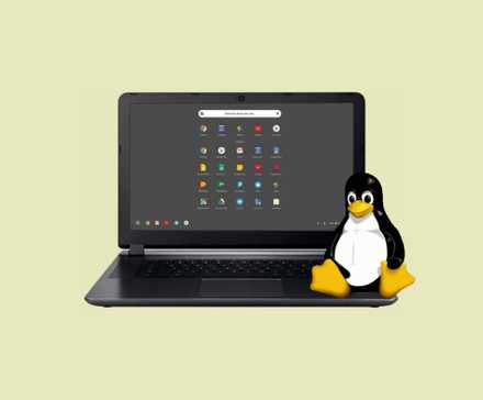 /images/chrome-os-linux.jpg