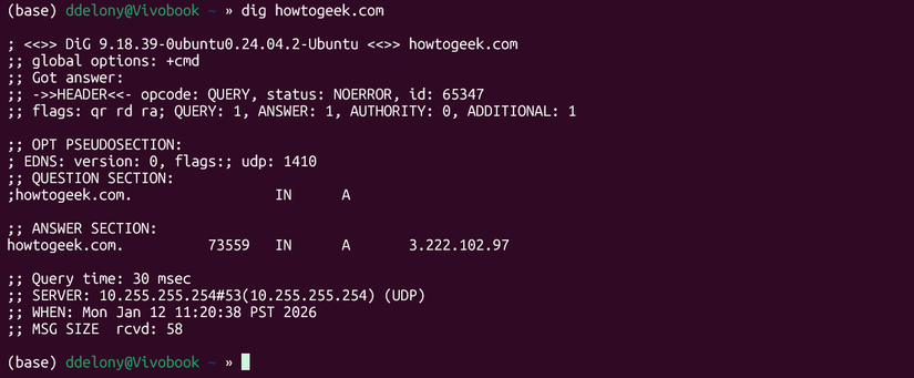 /images/dig-wsl.png