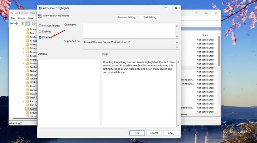 /images/disabled-option-in-the-allow-search-highlights-policy-settings-window.jpg