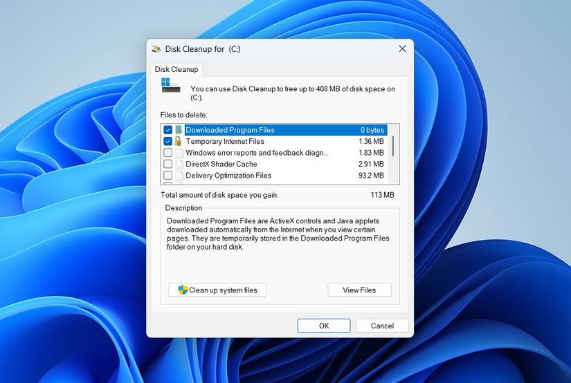 /images/disk-cleanup-window-in-windows-11.jpg