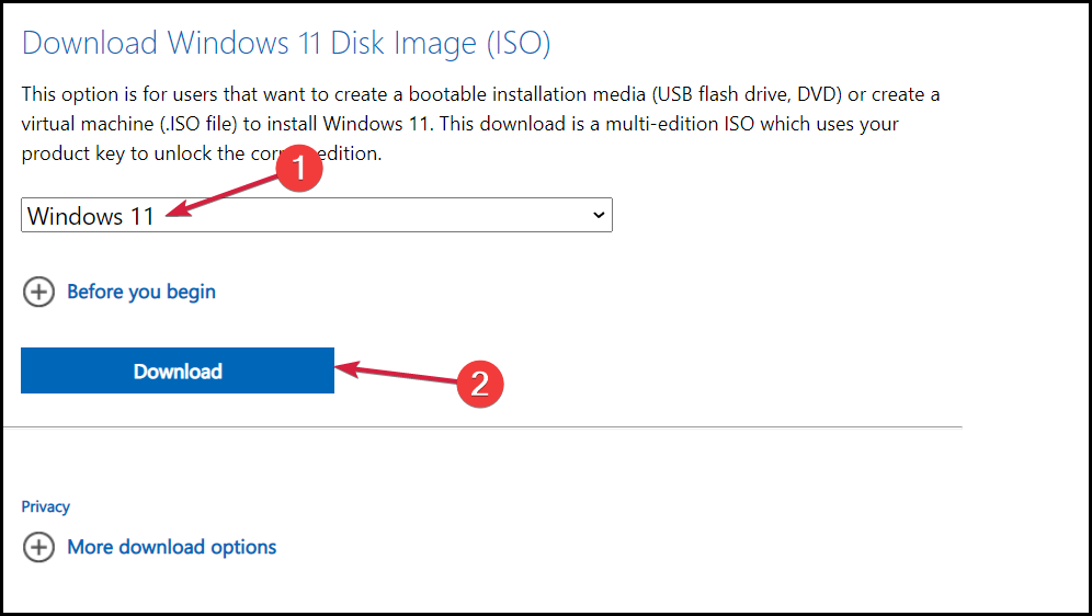 /images/download-Windows11-ISO.png