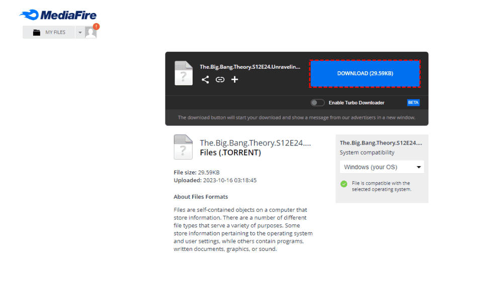 /images/download-mediafire-file.png