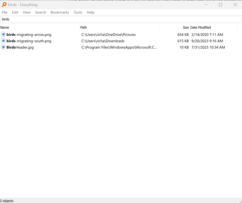 /images/everything-search-utility.png