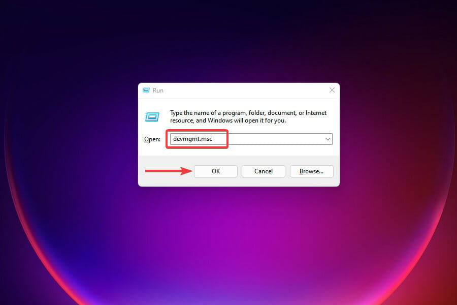 /images/explorer_AoV7o2QtA0.jpg