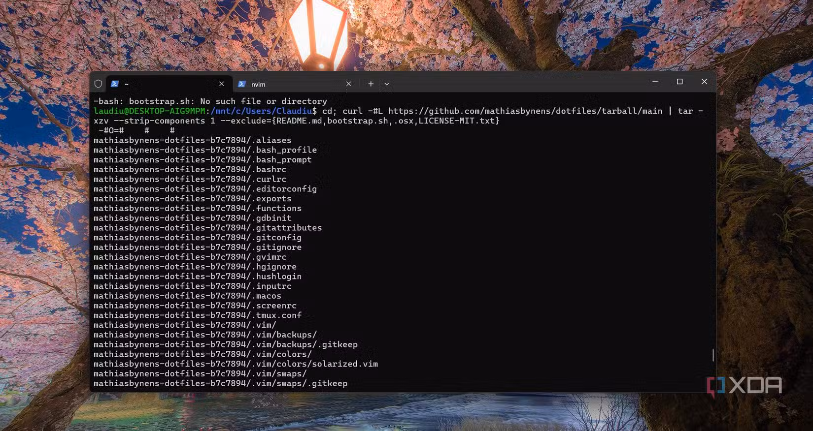 /images/installing-dotfile-from-github-repository.jpg