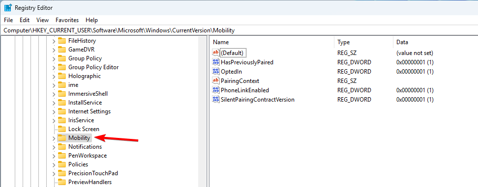 /images/mobility-registry-editor.png