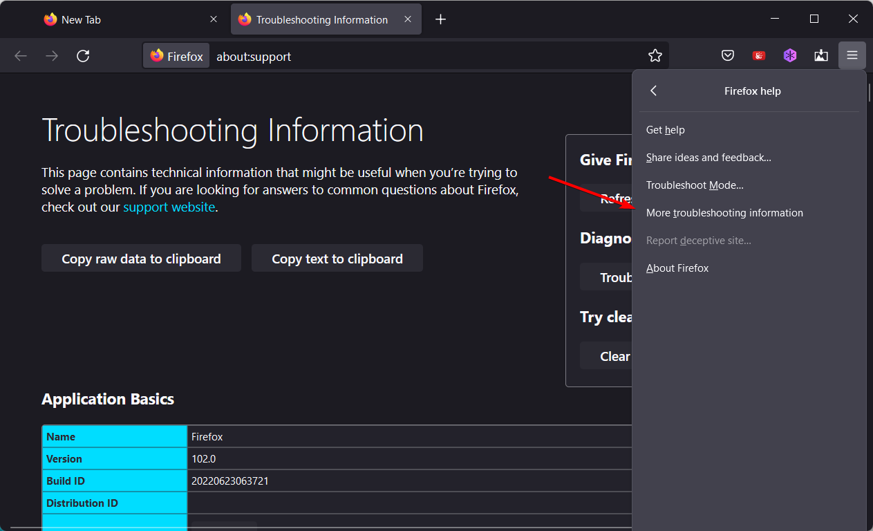 /images/more-troubleshooting-firefox-4.png