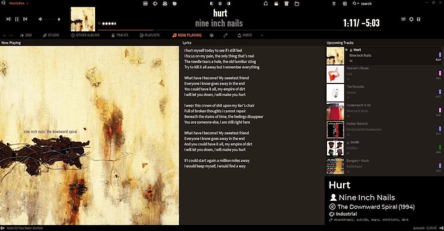 /images/musicbee-screenshot-2.jpeg