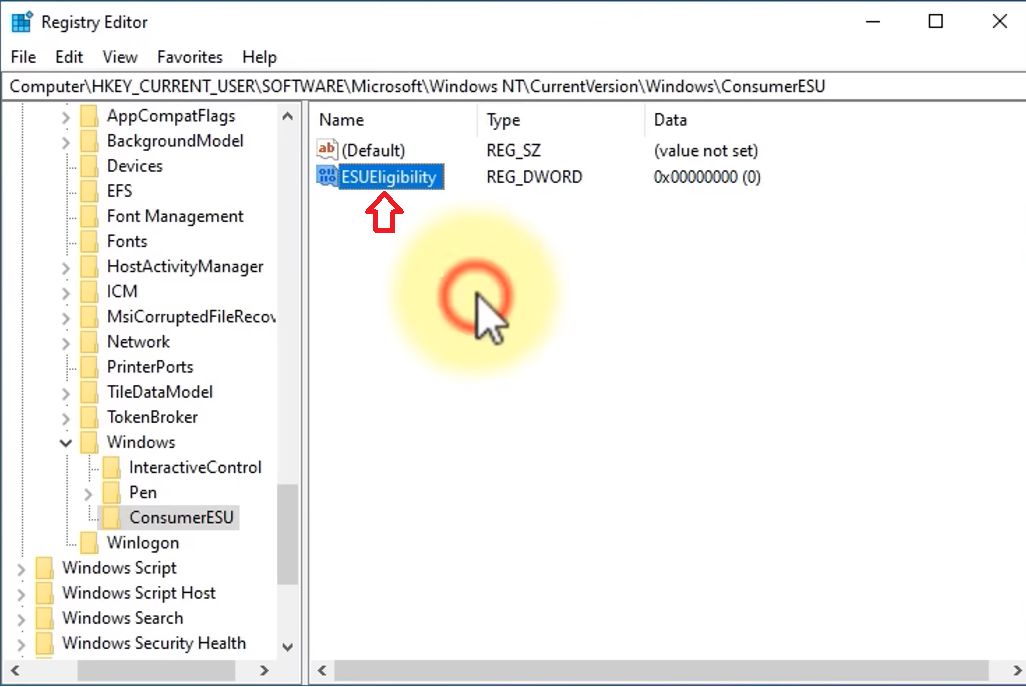 /images/name-the-new-Dword-32-bit-as-ESUEligibility.png