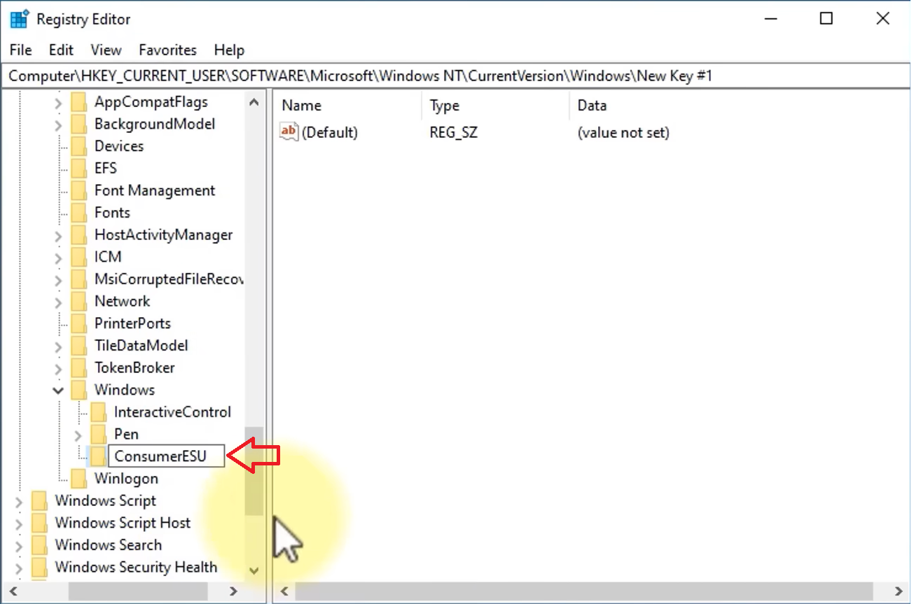 /images/name-the-new-key-in-windows-as-ConsumerESU.png