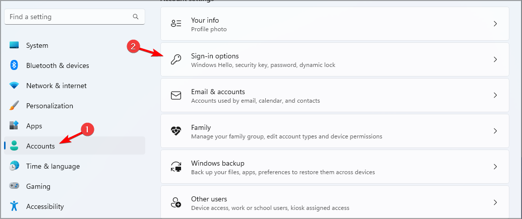 /images/sign-in-options-w11.png