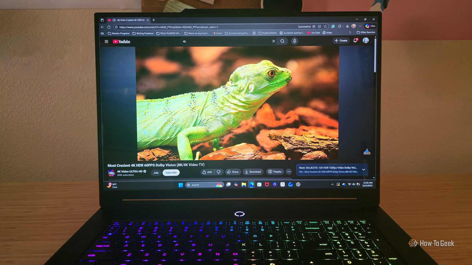 /images/the-lenovo-legion-9i-gen-10-gaming-laptop-s-display-playing-a-video-of-a-lizard.jpg